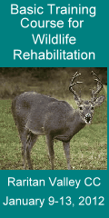 Wildlife course
