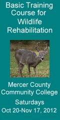 Wildlife Rehab Course