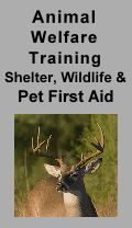 Animal Welfare Training